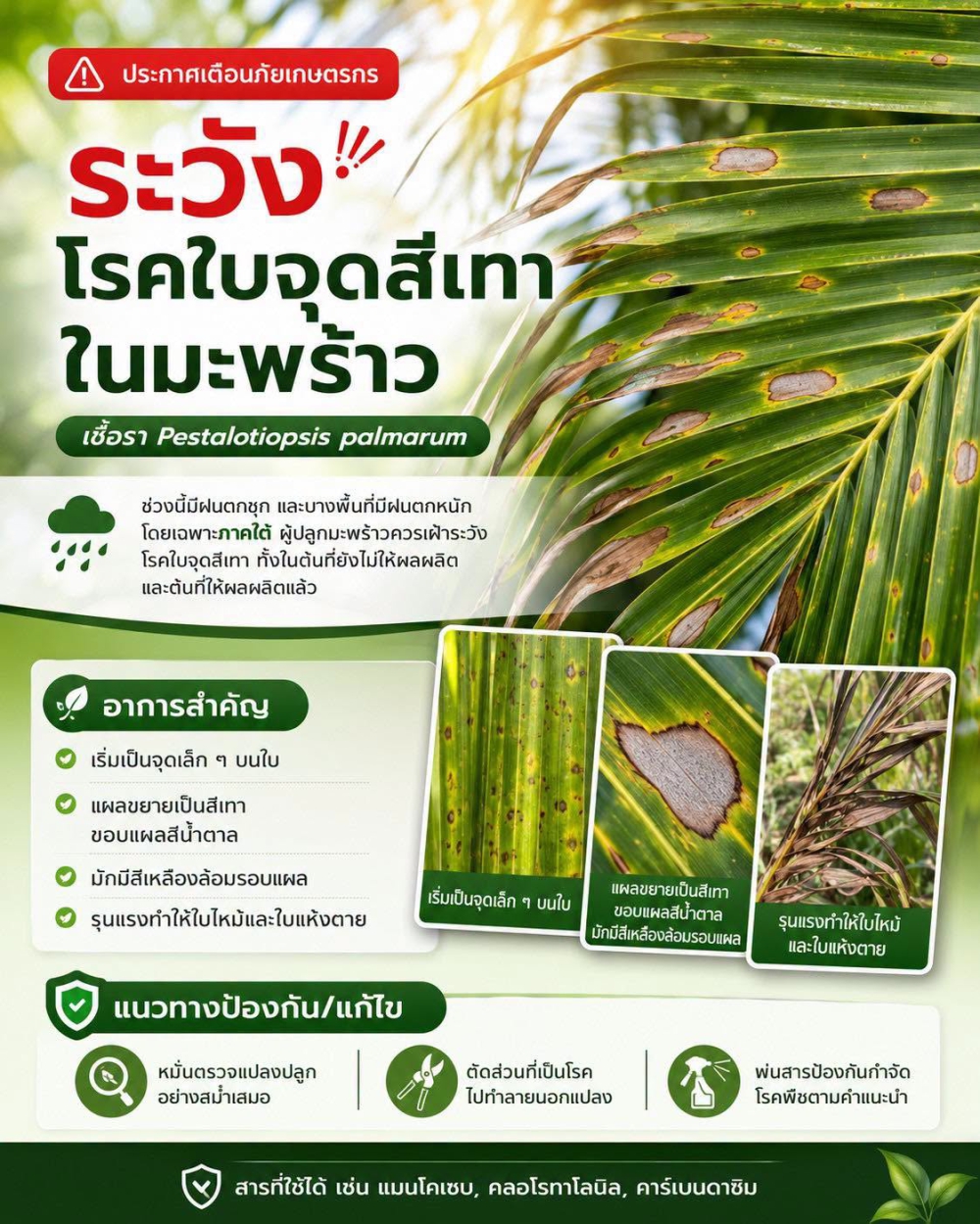เตือนการเฝ้าระวัง