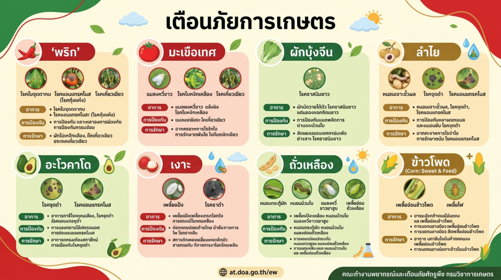 เตือนภัยเกษตร 19 ส.ค. - 1 ก.ย. 69
