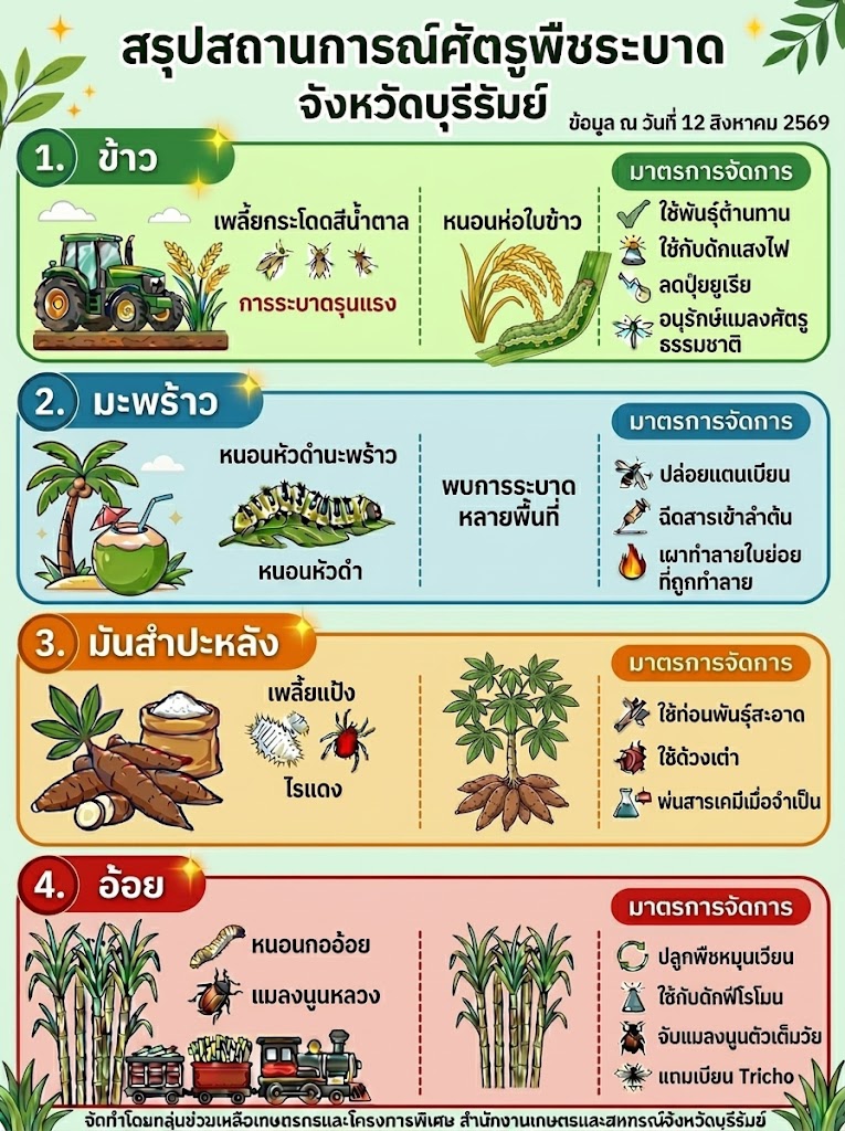 สรุปสถานการณ์ศัตรูพืชระบาด จังหวัดบุรีรัมย์