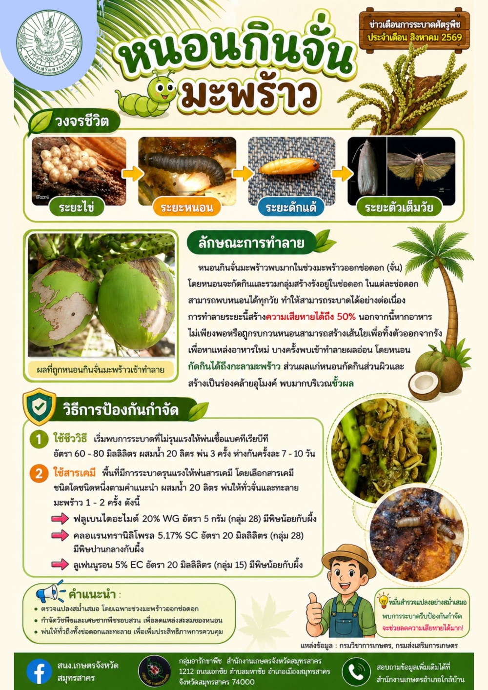 แจ้งเตือนการระบาดศัตรูพืช ประจำเดือนสิงหาคม 2569