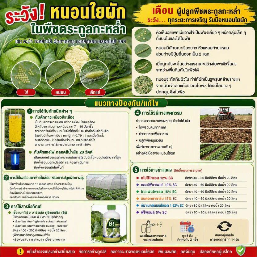 เตือนการเฝ้าระวัง