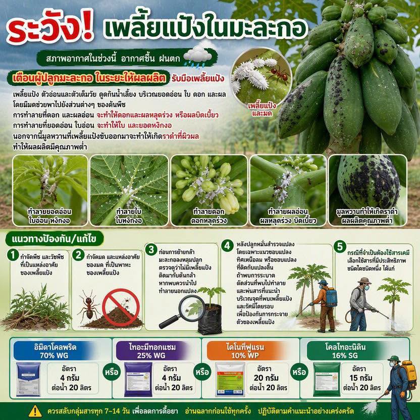 เตือนการเฝ้าระวัง