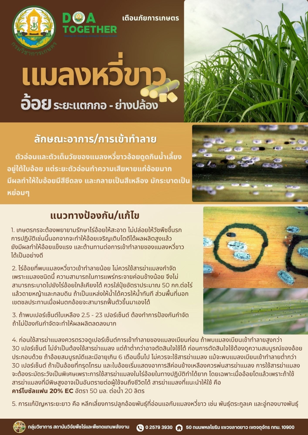 เตือนการเฝ้าระวัง