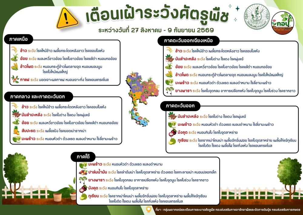 เตือนเฝ้าระวังศัตรูพืชประจำสัปดาห์