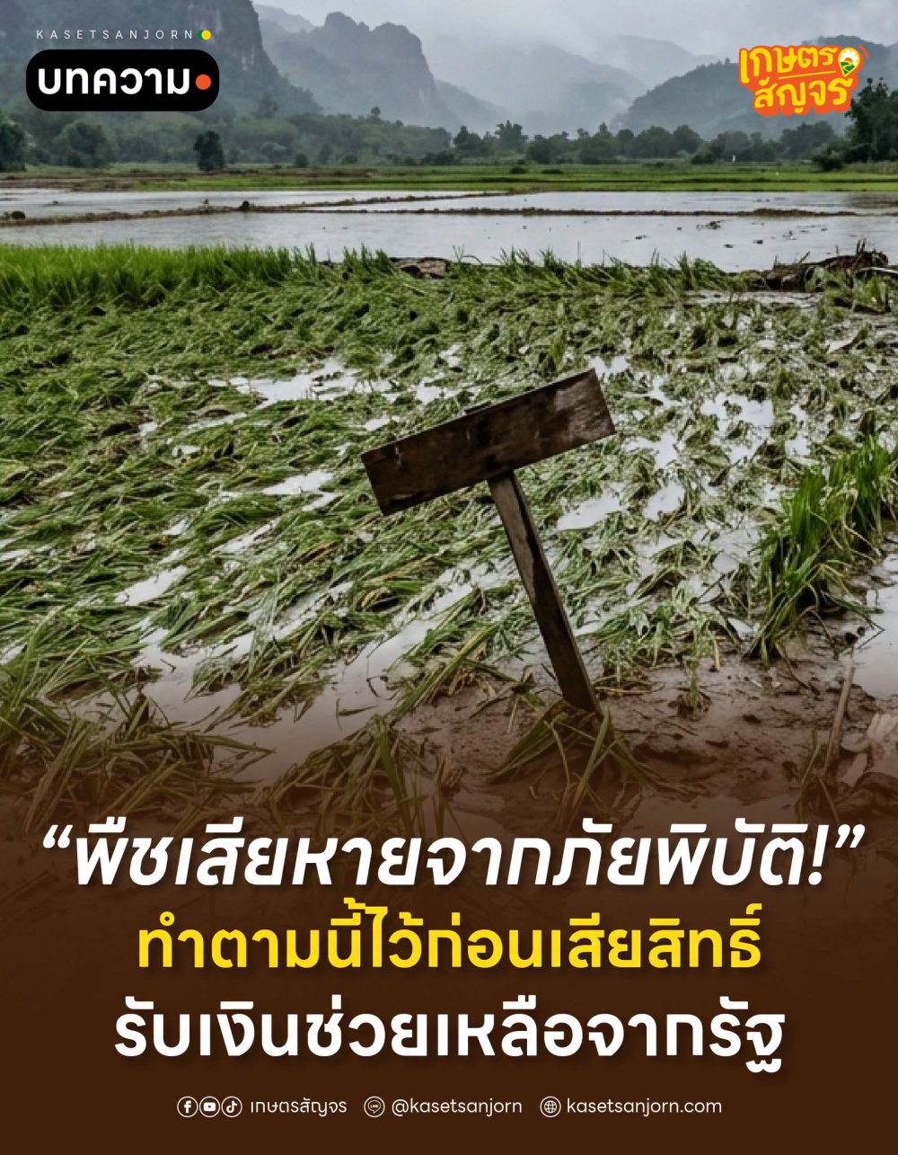 พืชเสียหายจากภัยพิบัติ
