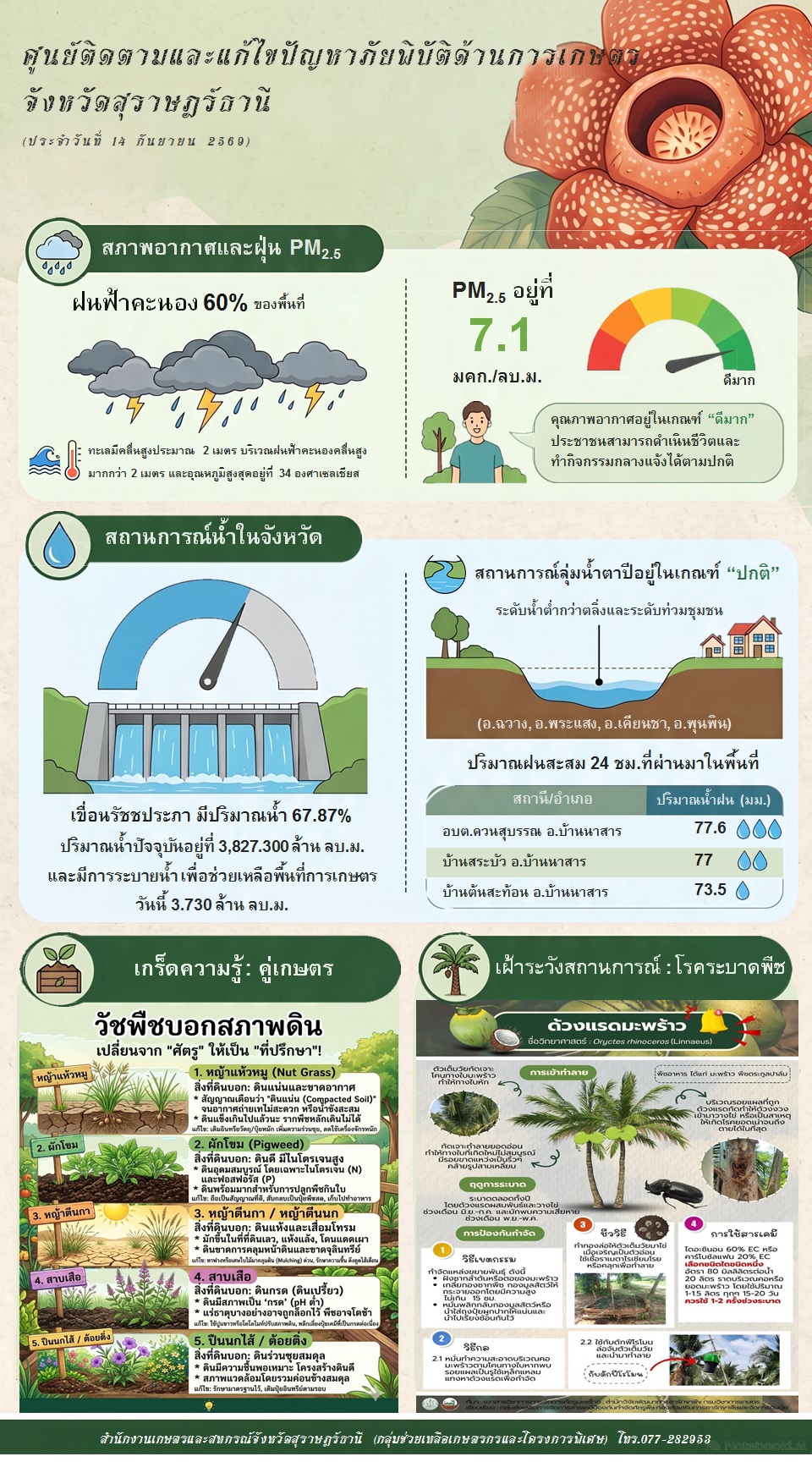 รายงานสถานการณ์ประจำวัน