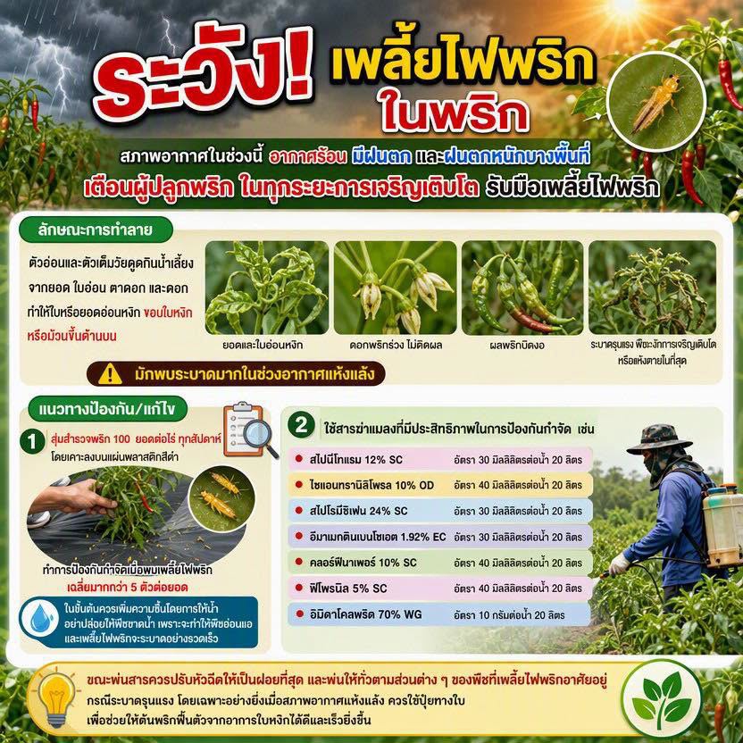 เตือนการเฝ้าระวัง