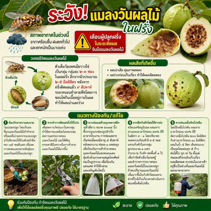 เตือนการเฝ้าระวัง