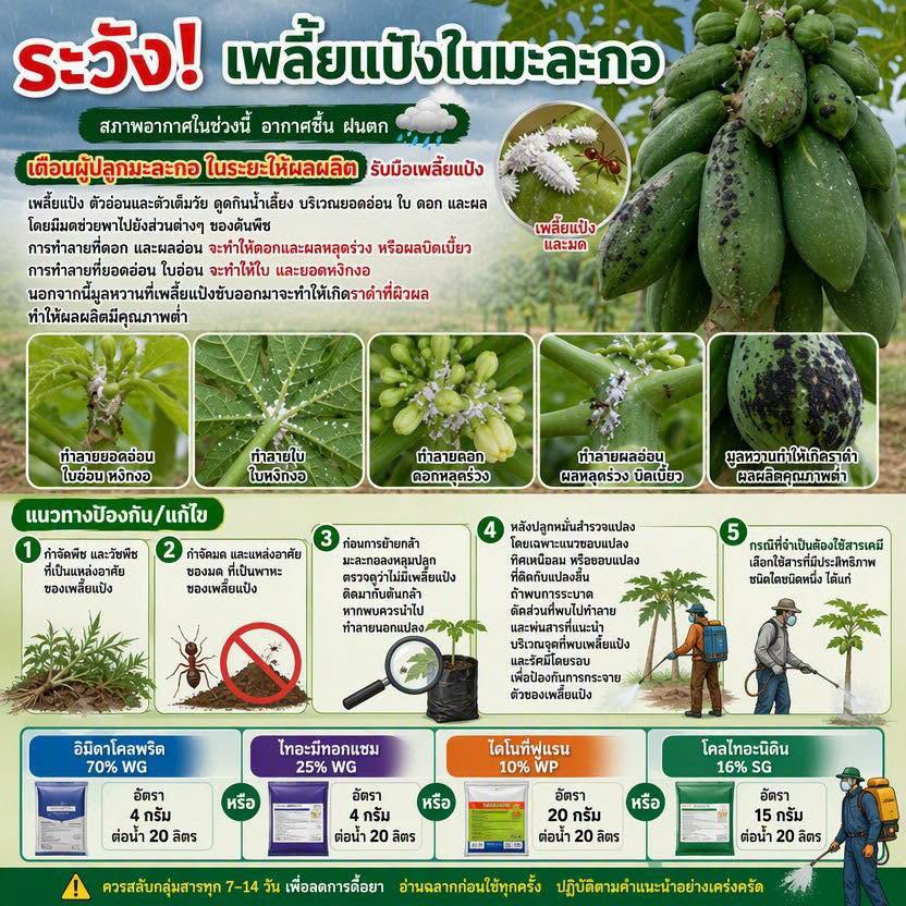 เตือนการเฝ้าระวัง