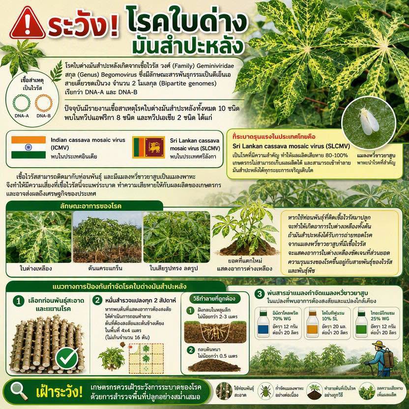 เตือนการเฝ้าระวัง