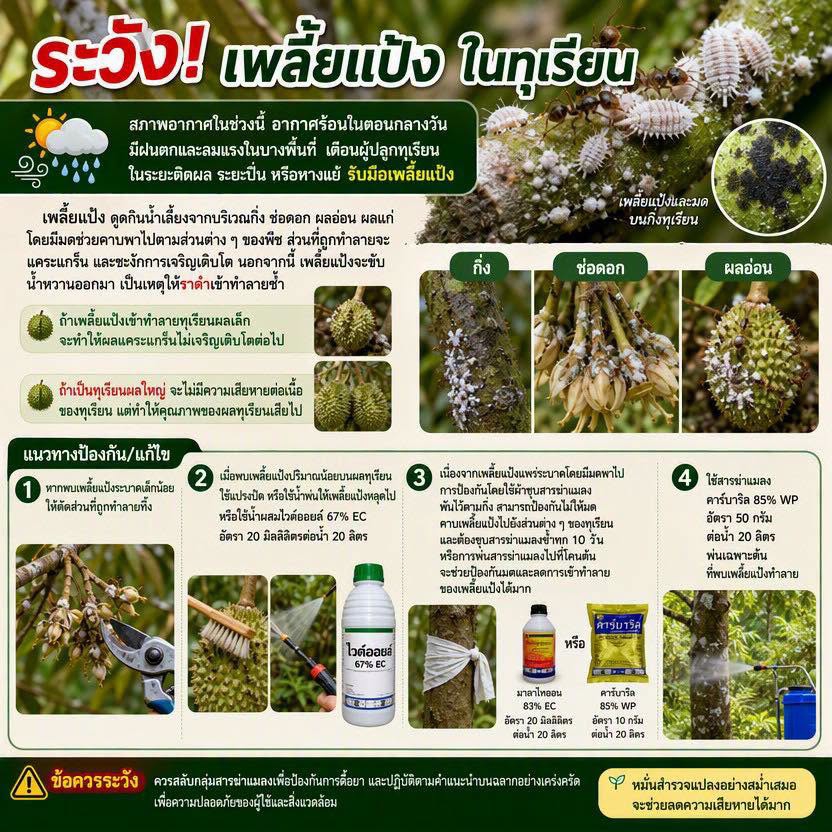เตือนการเฝ้าระวัง