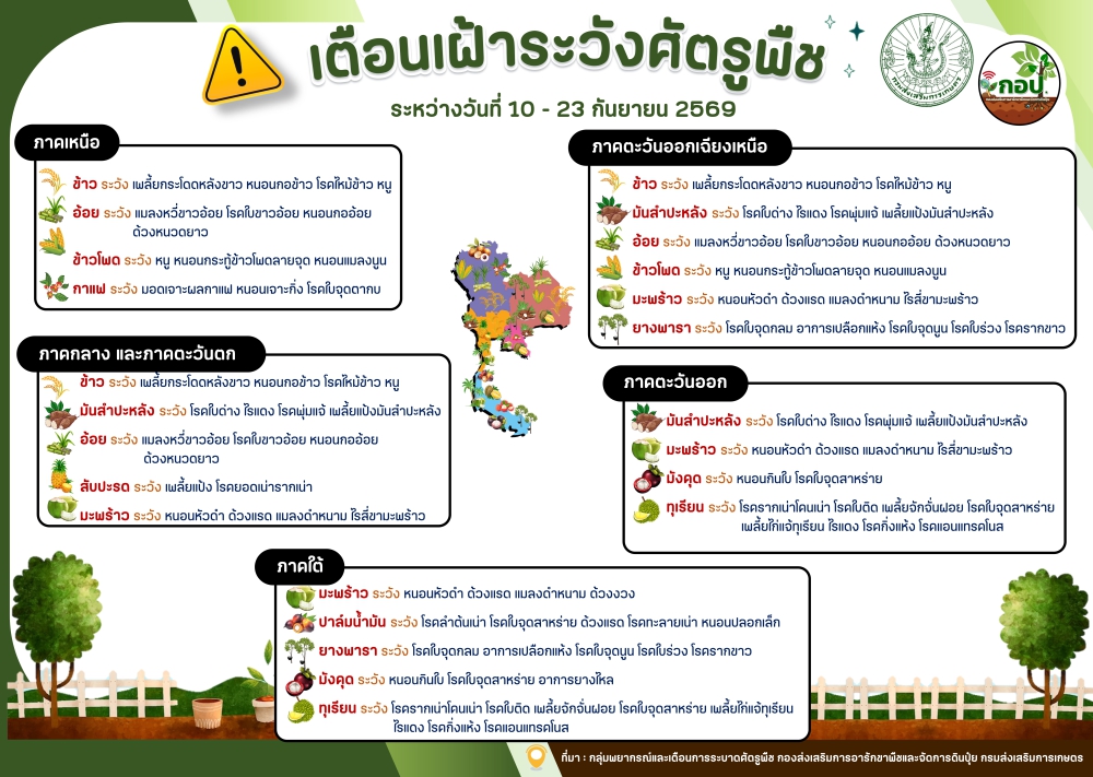 เตือนเฝ้าระวังศัตรูพืช ระหว่างวันที่  10 - 23   กันยายน 2569