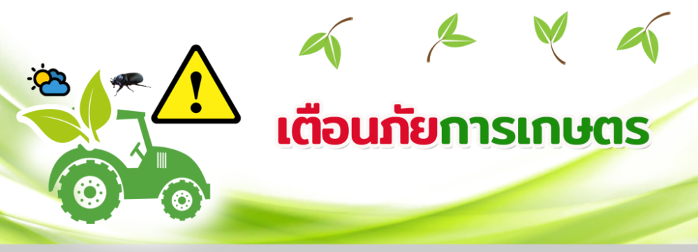 ข้อมูลเตือนภัยการเกษตรระหว่างวันที่ 16 - 29 กันยายน 2569