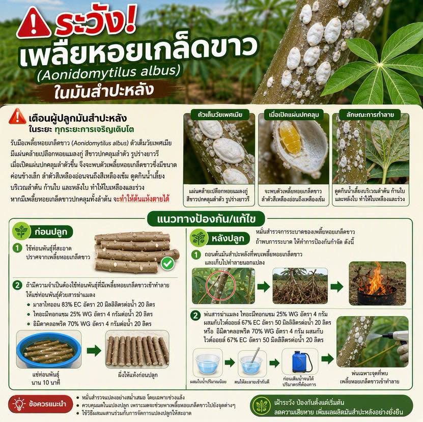 เตือนการเฝ้าระวัง