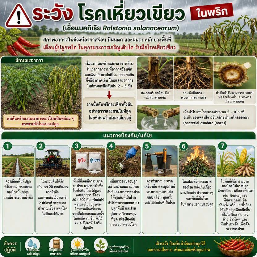 เตือนการเฝ้าระวัง
