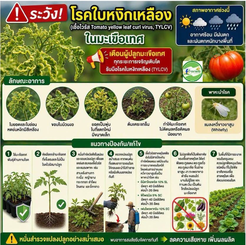 เตือนการเฝ้าระวัง