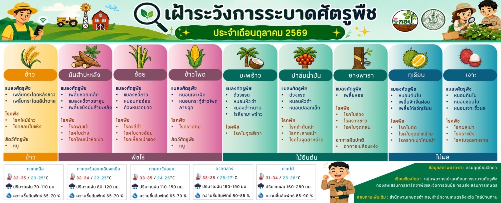 เตือนเฝ้าระวังศัตรูพืชประจำเดือน