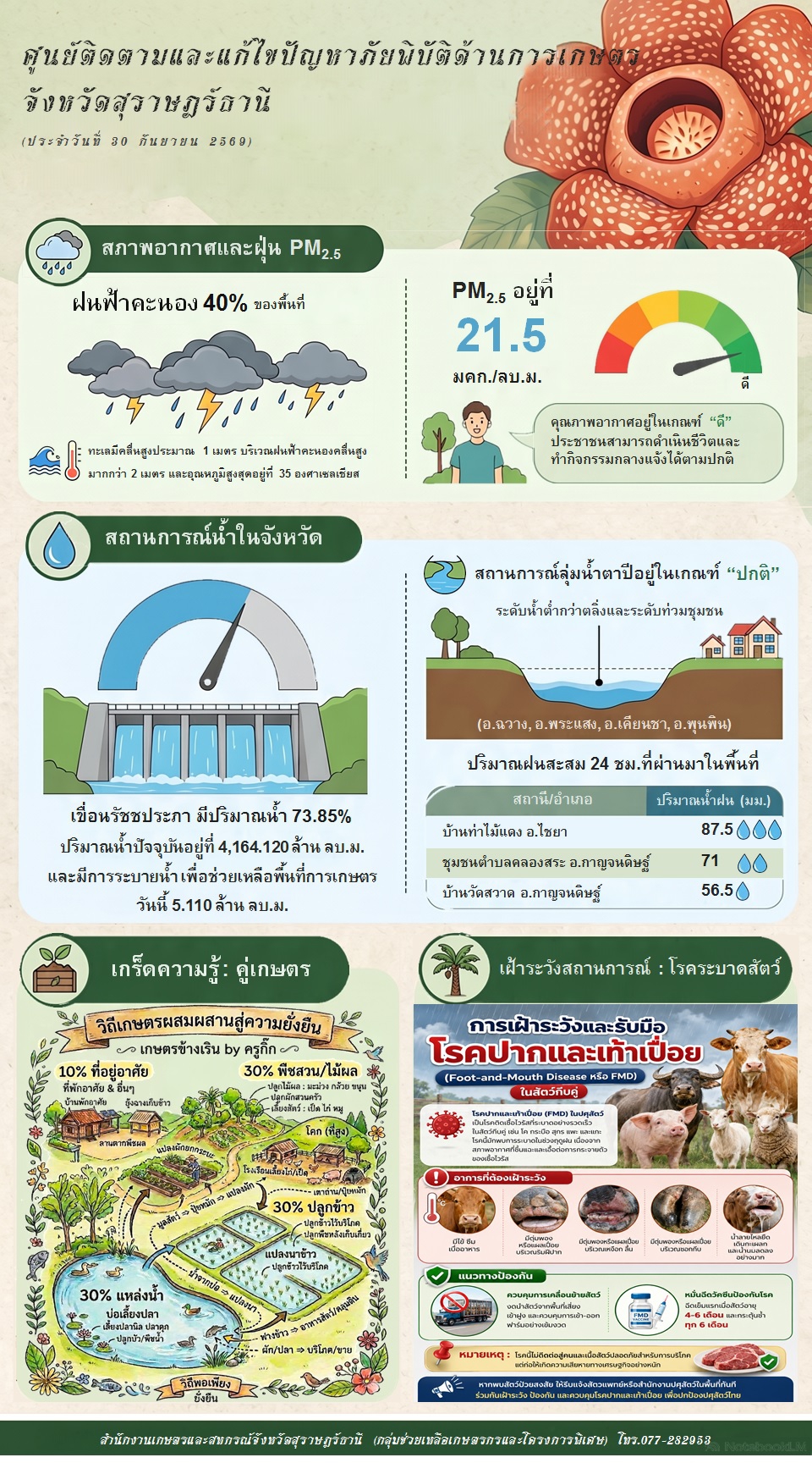 รายงานสถานการณ์ประจำวัน