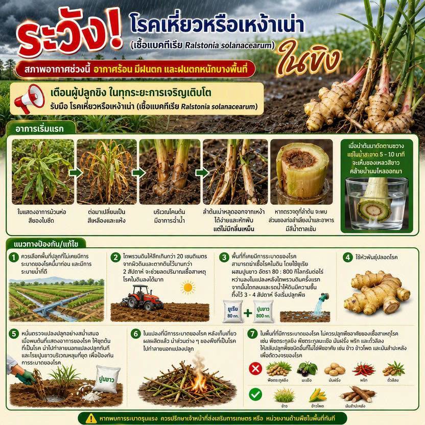 เตือนการเฝ้าระวัง