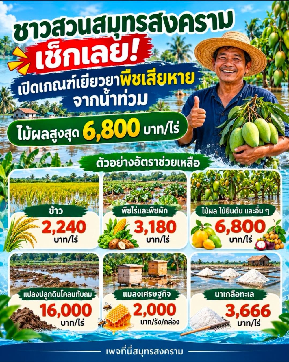 เปิดเกณฑ์เยียวยา พืชเสียหายจากน้ำท่วม