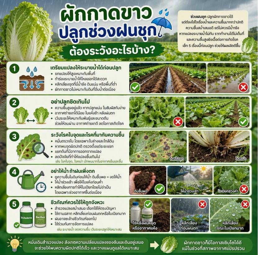 เตือนการเฝ้าระวัง