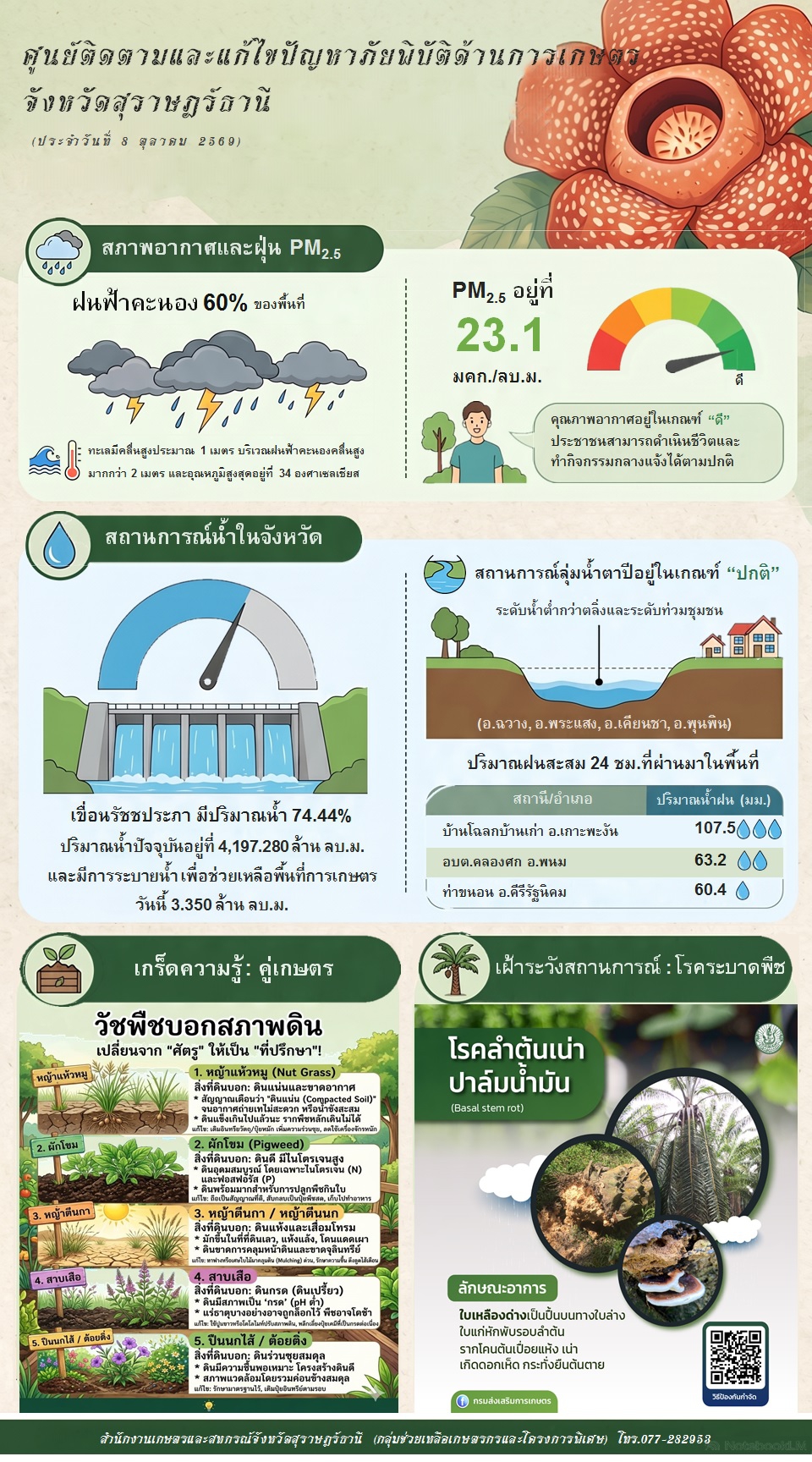 รายงานสถานการณ์ประจำวัน
