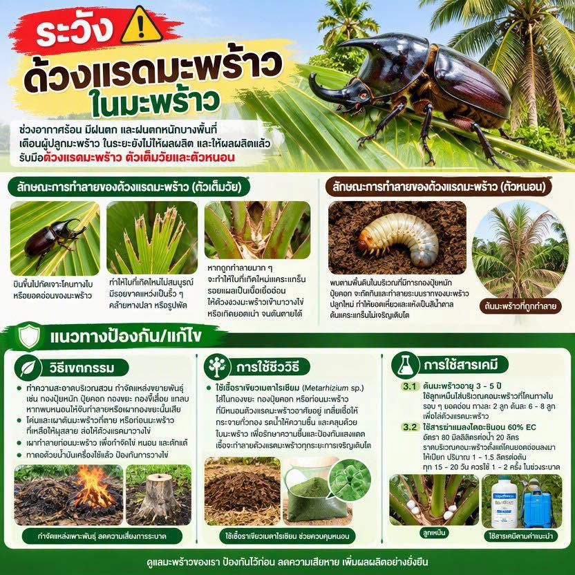 เตือนการเฝ้าระวัง