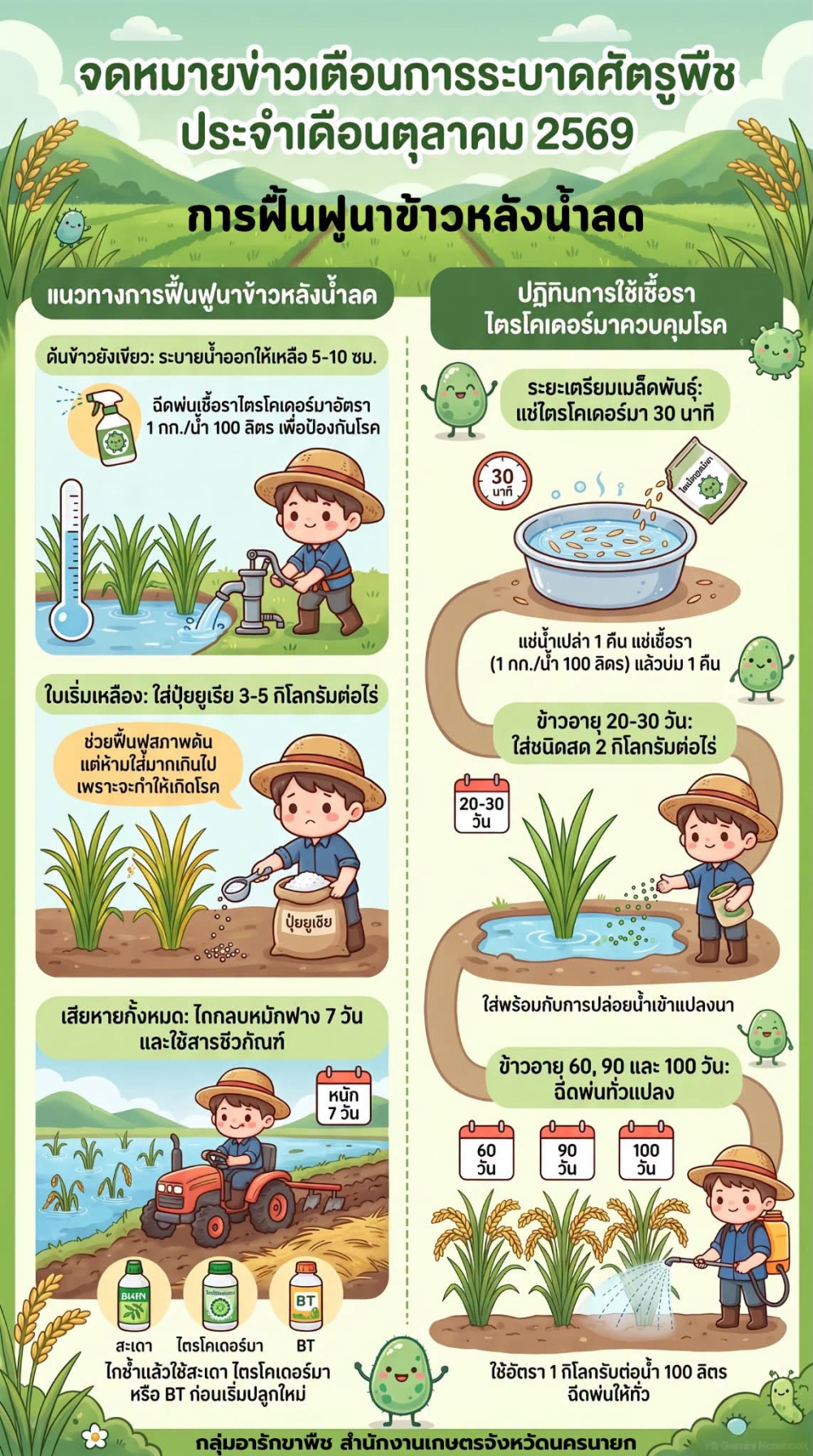 น้ำลดแล้ว นาข้าวต้องฟื้น! 5 วิธีฟื้นฟูนาข้าวหลังน้ำลด