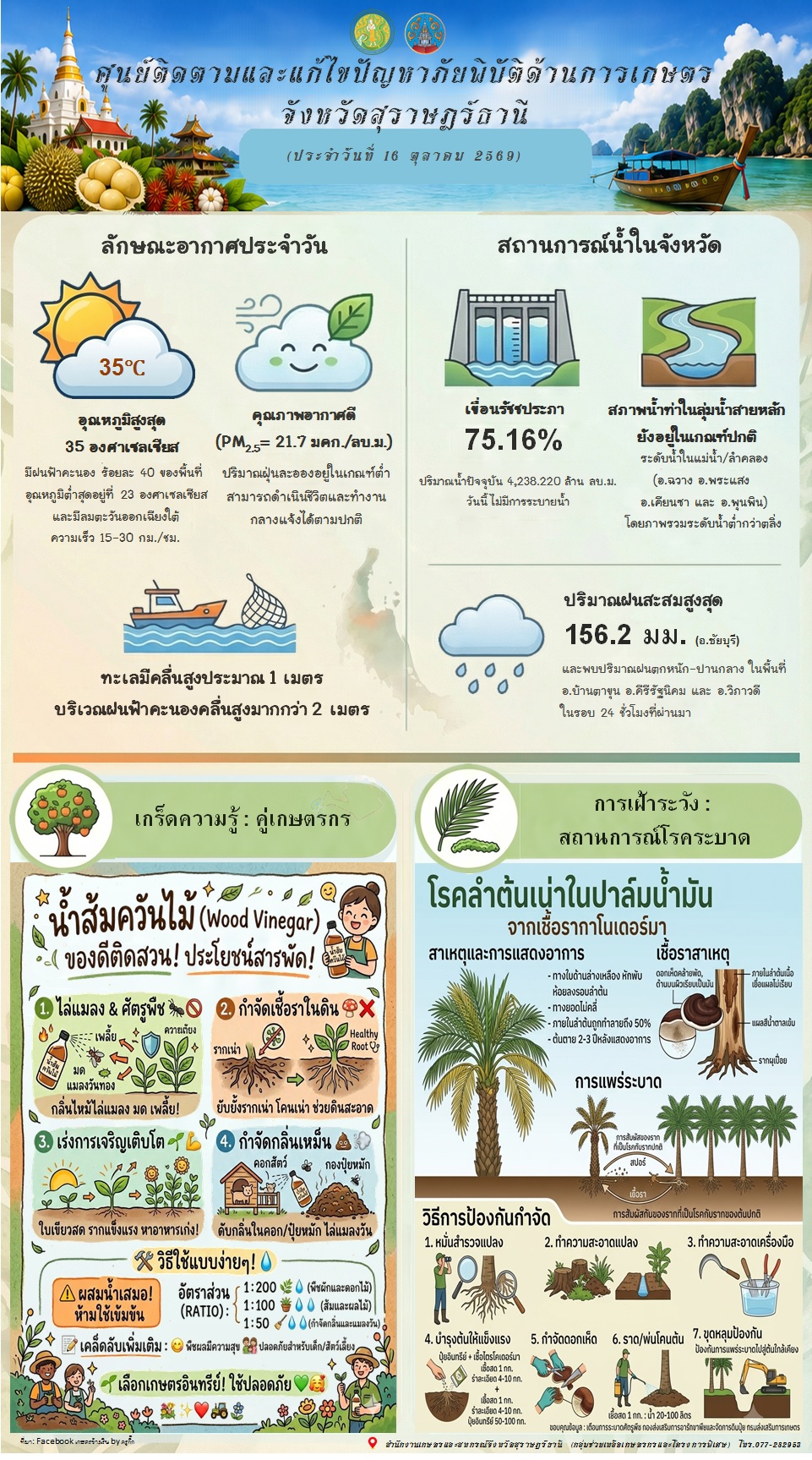 รายงานสถานการณ์ประจำวัน