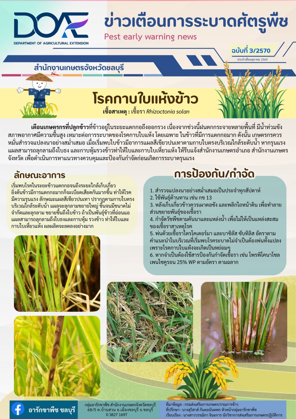โรคกาบใบแห้งข้าว