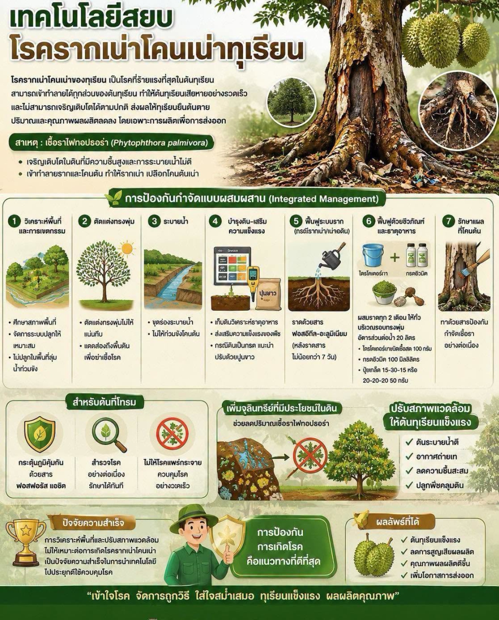 เทคโนโลยีสยบโรครากเน่าโคนเน่าทุเรียน