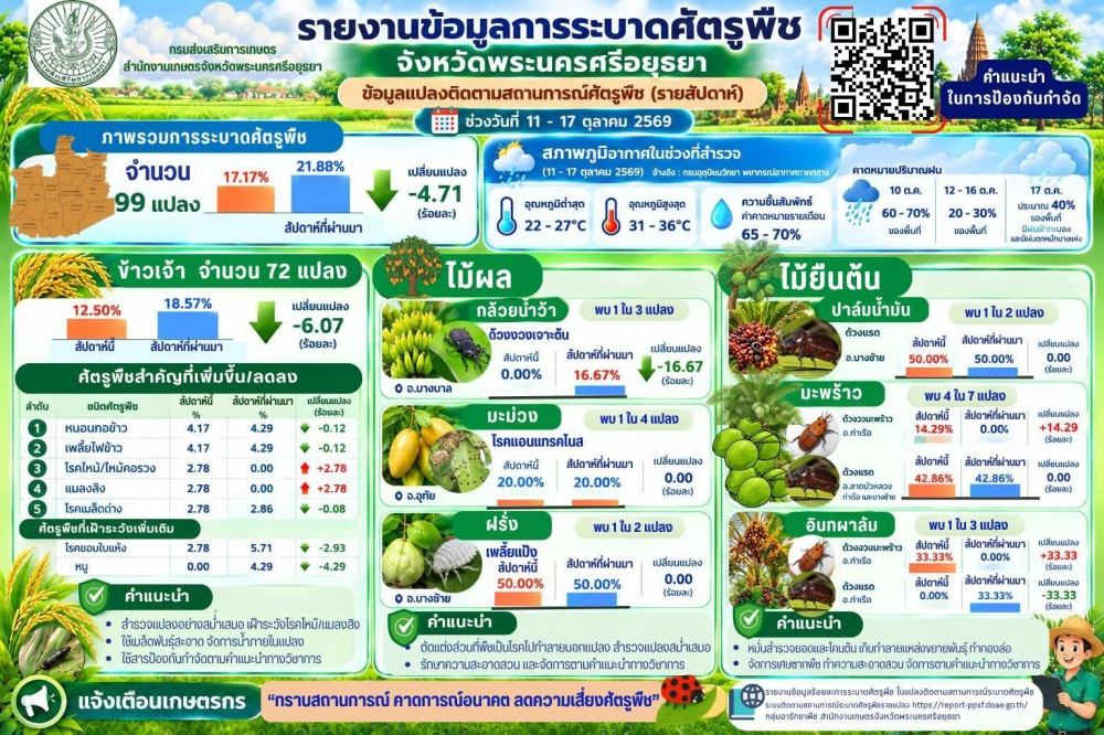 การระบาดศัตรูพืช